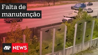 Vitrine de Doria na prefeitura, muro de vidro da USP está abandonado