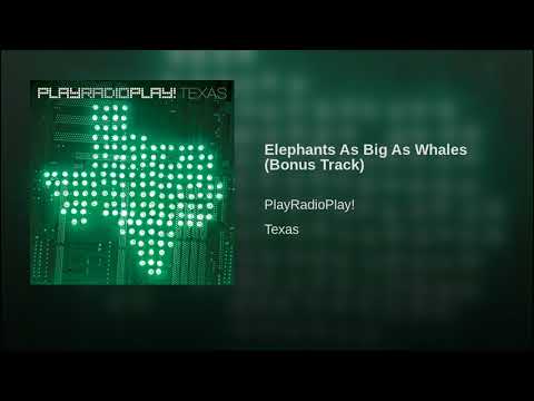 Elephants As Big As Whales (Bonus Track)