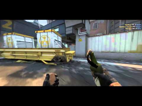 Plessen vs. Faze ESL Pro League Season 3 by ErNi Young