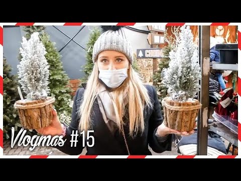 VLOGMAS #15 : JESZCZE WIĘCEJ OZDÓB ŚWIĄTECZNYCH!⭐️| Andziaks