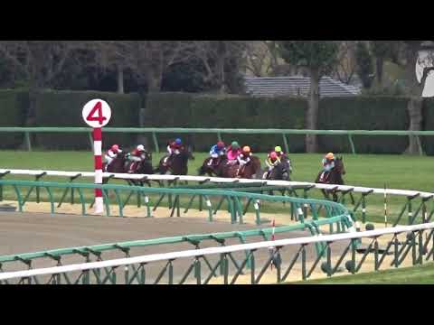 2018 中山記念 ウインブライト NAKAYAMA MEMORIAL Win Bright