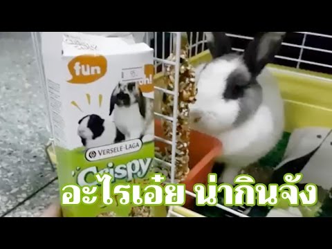 ครีมบางอย่างสำหรับโรคสะเก็ดเงิน รูปภาพของกลากและโรคผิวหนังของมือ