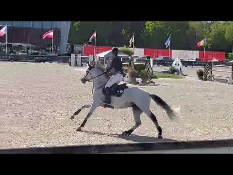 Cornetboy - CSI3*** Opglabbeek - GP - JO - 08 05 2022