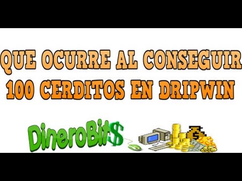 comment gagner dripwin