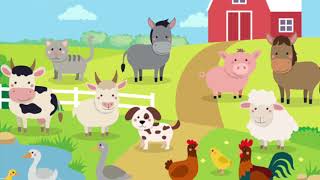 Semana del 24 al 28 de agosto: Actividades extra