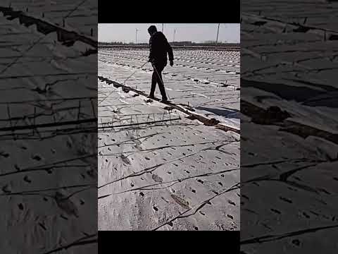 Farmers’ Homemade Simple Tools – Opening the Film for Crops Under Cover to Promote Growth