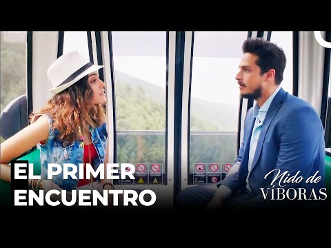 Historia De Encontrarse De Sebnem Y Ejder - Nido De Víboras