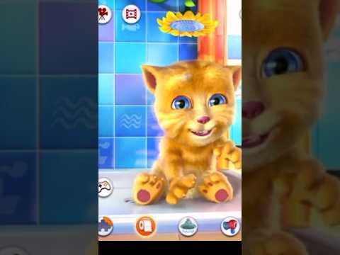 Trending activities with Tom & Pushpa2songs