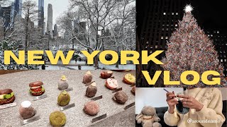 【NYC Vlog】真冬のニューヨークの休日｜駐在妻