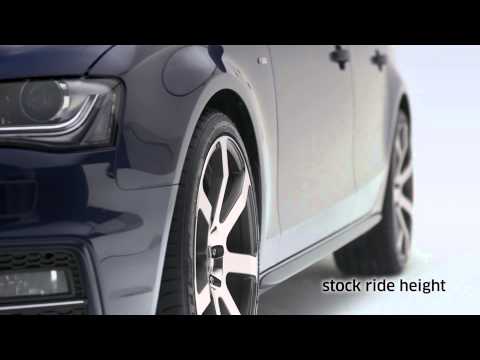 PRO-KIT | Performance Springs (Step 1)