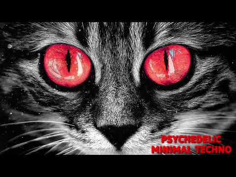 RED PSYCHEDELIC TRIPPY CAT Mix 2021 September  [MINIMAL TECHNO]