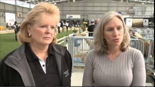 CTV News Friday October 10
