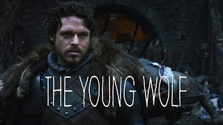 (GoT) Robb Stark  The Young Wolf
