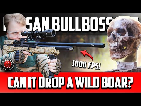 Hatsan Bull Boss Review \u0026 Accuracy Test (.25 Caliber) PCP Rifle