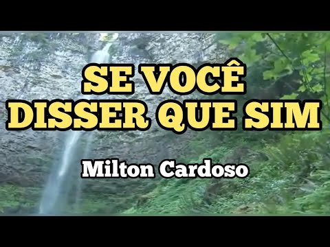 Se Você Disser Que Sim - Franciele