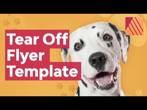 Affinity Publisher for Beginners FREE COURSE