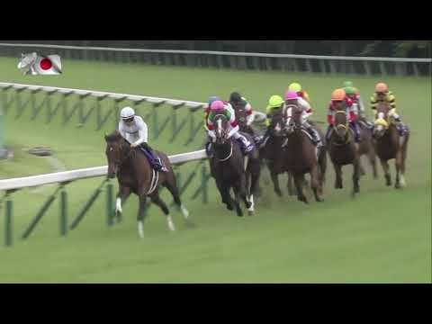 2019 Takarazuka Kinen International Group 1 2200m
