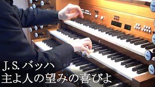 Download lagu J.S.バッハ : 主よ人の望みの喜びよ【パイプオルガン】 mp3 Download lagu J.S.バッハ : 主よ人の望みの喜びよ【パイプオルガン】 mp3