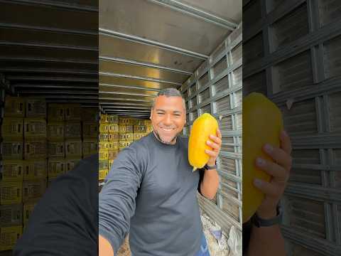 Mamão da região de Baraúna RN. #mamão #barauna #riograndedonorte #ceasadesalvador #chofer