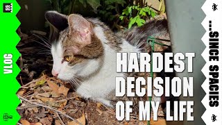 Hardest Decision of My Life