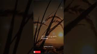 Download lagu Story Wa Sholawat Ya sayyidi Ya Rasulullah mp3 Download lagu Story Wa Sholawat Ya sayyidi Ya Rasulullah mp3