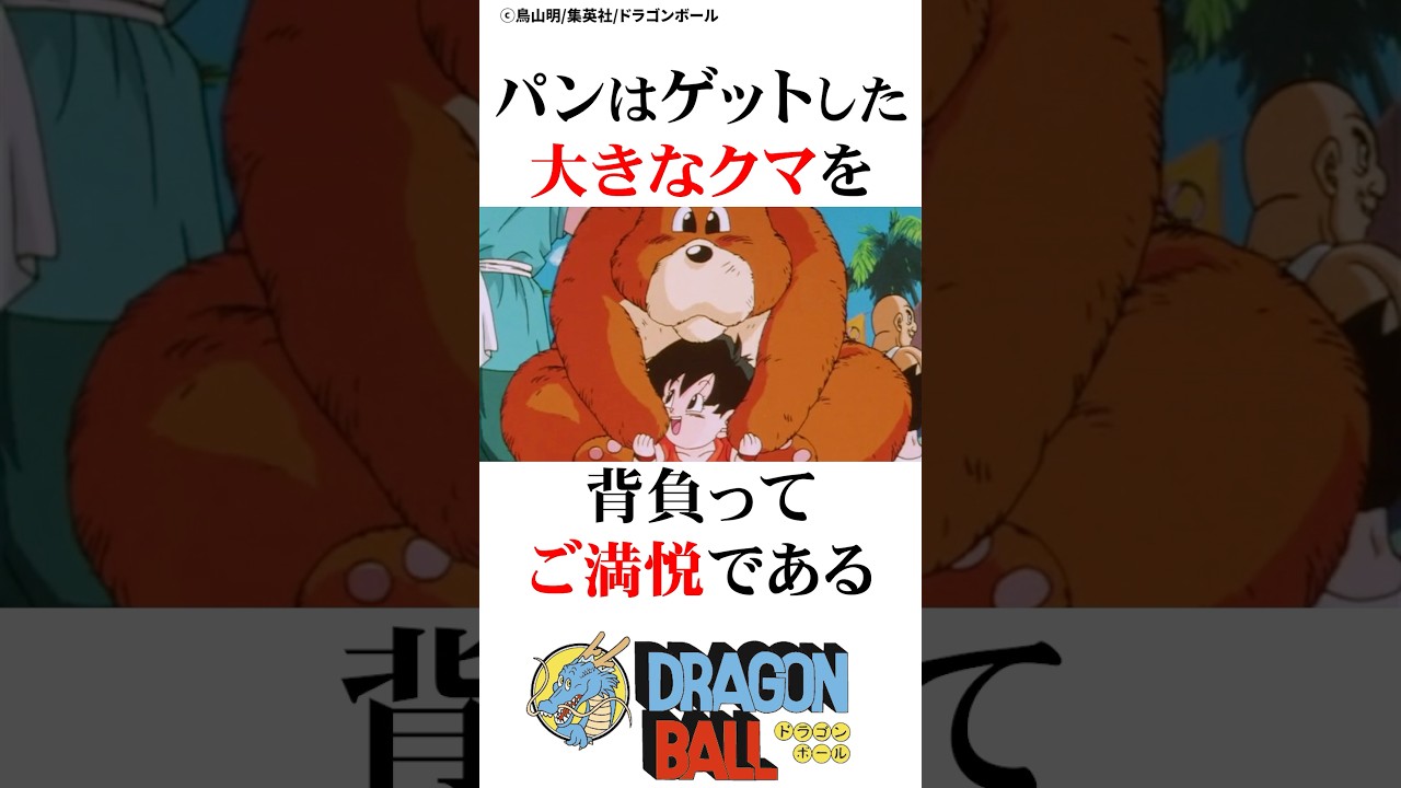 初めての天下一武道会で大はしゃぎのパンちゃん#ドラゴンボール