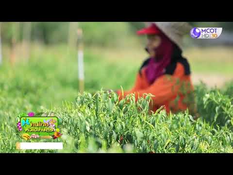 รักษ์ผืนดิน ถิ่นส.ป.ก.ปี๒/ตอนที่๒. เรื่องพัฒนาแหล่งน้ำ แก้ปัญหาภัยแล้งซ้ำซาก