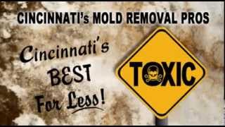 preview picture of video 'Mold Removal Cincinnati - Best Mold Remediation 513-268-5988'