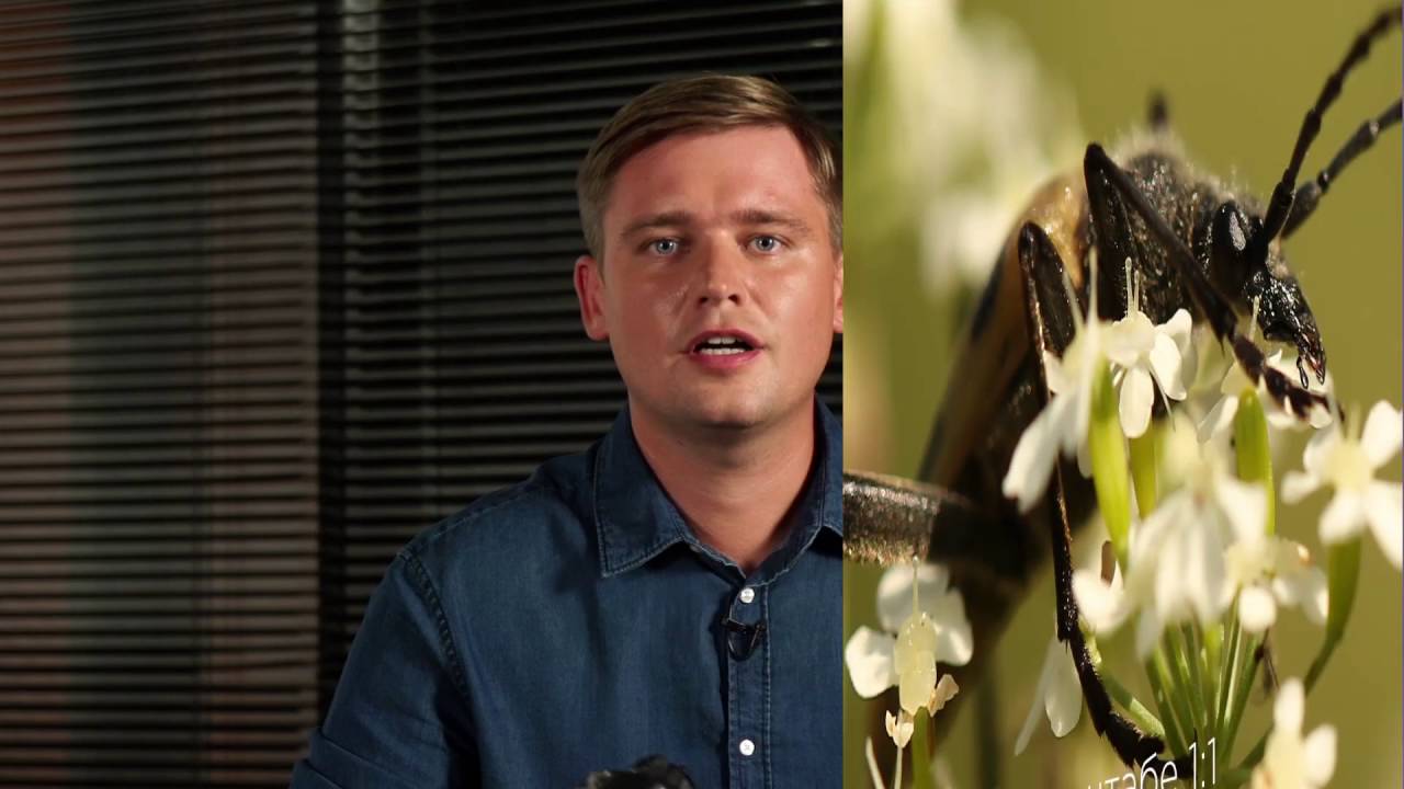 Объектив Canon EF 100mm f/2.8L Macro IS USM