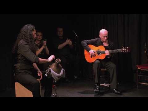 Roberto casa patas tangos