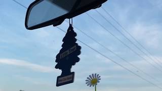 walls of silence - john maus cover