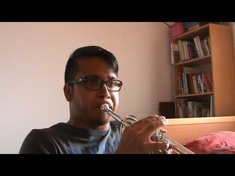 Charlie Puth l Wiz khalifa  (See You Again) cover-trumpet