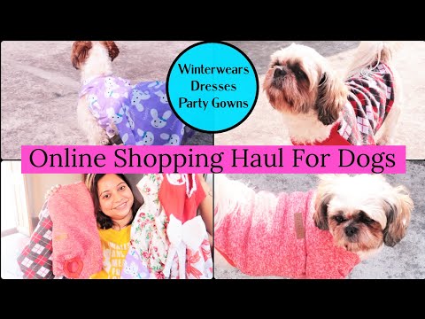 Winter Shopping Haul For Dogs | Online Shopping Haul For Dogs | Dog Clothing Haul India Video