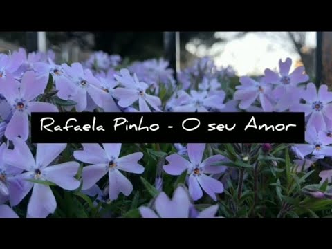 Rafaela Pinho - O seu amor (Letra)