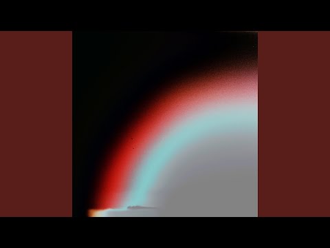 Tom Conneely and Birds of Paradise video