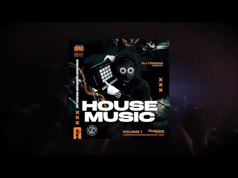 DJ TZESAR - Best House Music Mix 2024 |  TOP party tracks 🇺🇸 🇬🇧