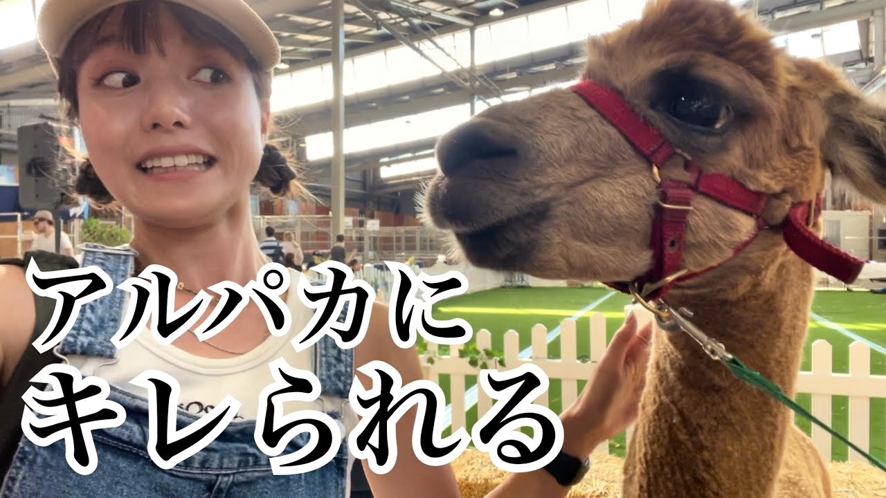 シドニーで1番楽しかったイベント ロイヤルイースターショー(2年前)