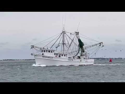 Shrimp Boat