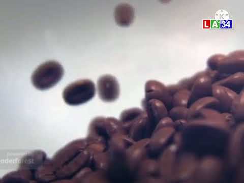 LA34 - Đài Hiệu Đài Phát Thanh & Truyền Hình Long An (2017-2025) | Báo & PTTH Tây Ninh