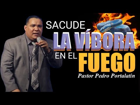 SACUDE LA VÍBORA EN EL FUEGO ||PASTOR PEDRO PORTALATIN
