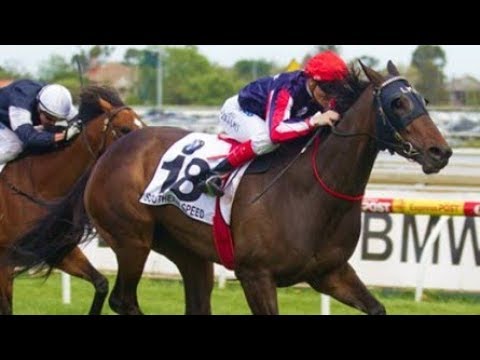 2011 The BMW Caulfield Cup G1 - Southern Speed (南方快駒) - C.Williams (香港參戰馬火龍駒實力問題沿途放頭直路前已乏力大敗跑第十七名)