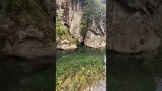 Download lagu Udang di kaki gunung terbesar mp3