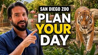 San Diego Zoo Complete Guide: Animals, Routes & Hidden Gems