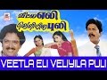Veetla Eli Veliyila Puli | Full Tamil Movie | SV Shekhar, Rubini , Janagaraj