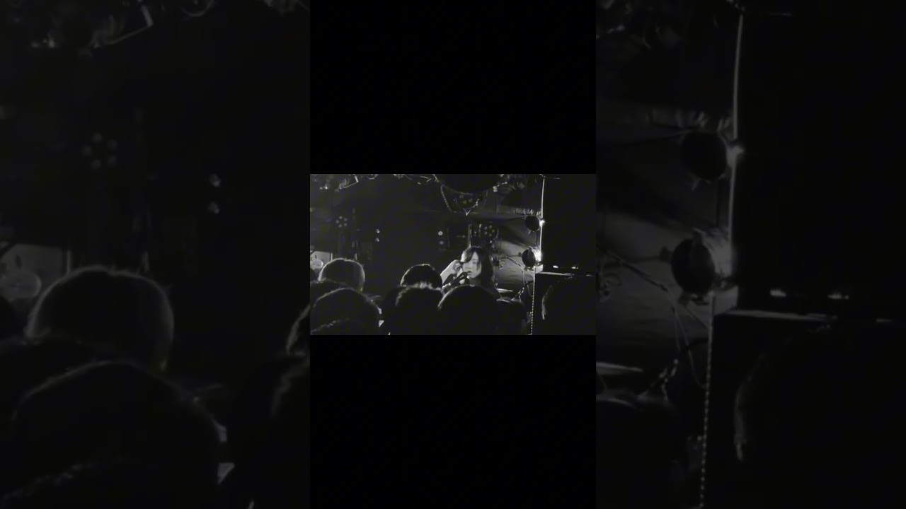 君の心つなぎとめる方法を僕は知らない #Hakubi #ライブ #邦ロック #バンド #playlist