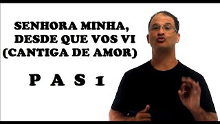 PAS 1 - Senhora minha, desde que vos vi - Análise poética e resumo