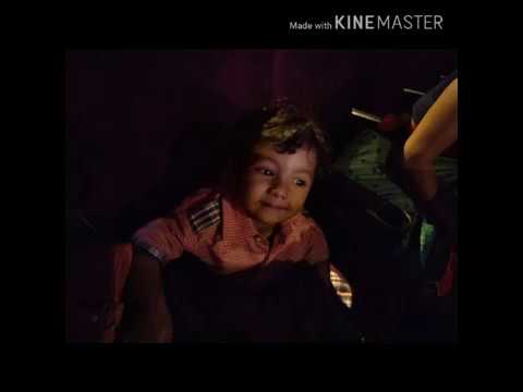 download lagu mp3 mp4 Movie Lion King In Jaipur, download lagu Movie Lion King In Jaipur gratis, unduh video klip Movie Lion King In Jaipur