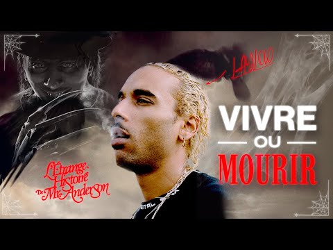 L'ETRANGE HISTOIRE DE MR ANDERSON: VIVRE OU MOURIR POUR SA PASSION ? (Analyse Laylow)