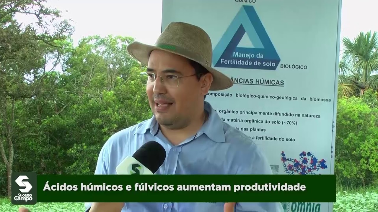 Ácidos húmicos e fúlvicos