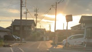 【散歩】痩せてかっこよくなるし蟻もみる